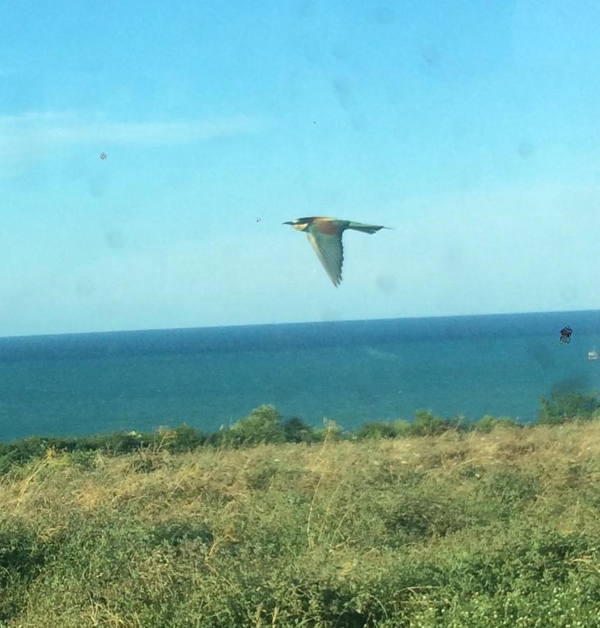 Agriturismo La Costa Dei Trabocchi تورينو دي سانغرو المظهر الخارجي الصورة
