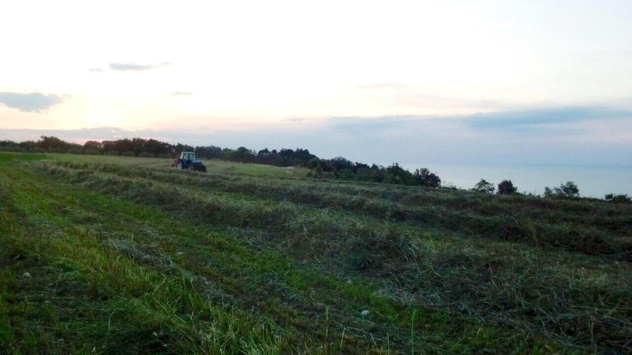Agriturismo La Costa Dei Trabocchi تورينو دي سانغرو المظهر الخارجي الصورة